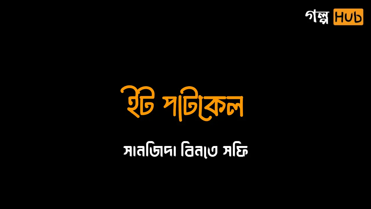 ইট পাটকেল