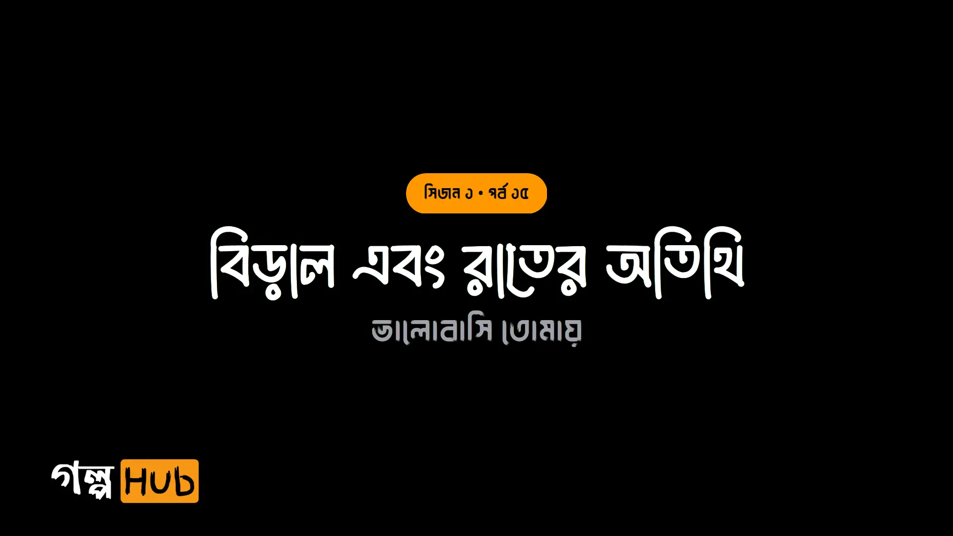 বিড়াল এবং রাতের অতিথি